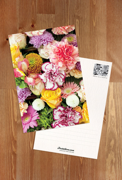 Colorful carnations