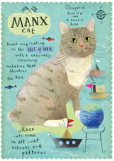 Manx cat