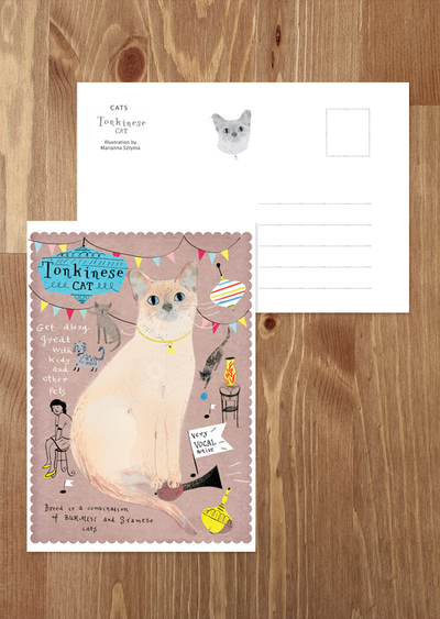 Tonkinese cat