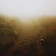 Agata Dobrzańska - Fog