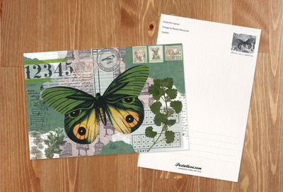 Marika Wieczorek - Butterfly in green