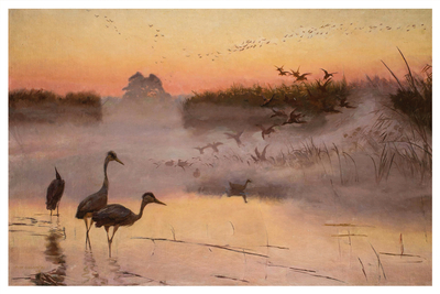 Józef Chełmoński, Dawn. The Kingdom of Birds