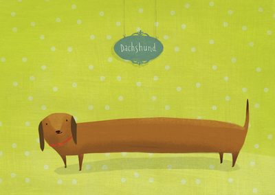 Joanna Rusinek - Dachshund 