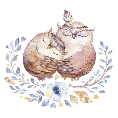 Two owls