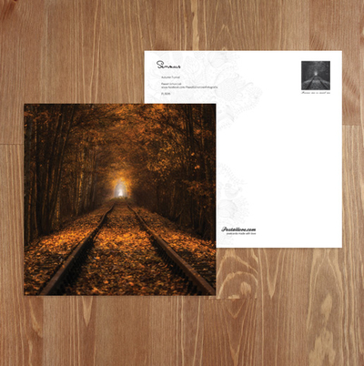 Paweł Uchorczak - Autumn tunnel