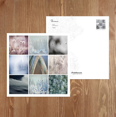 Winter mosaic