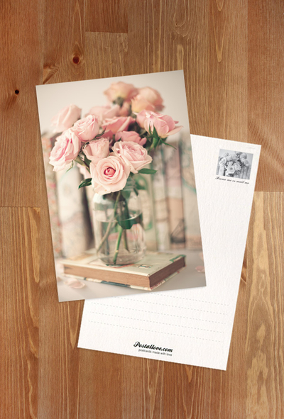 Pink roses