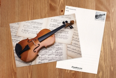 Violin