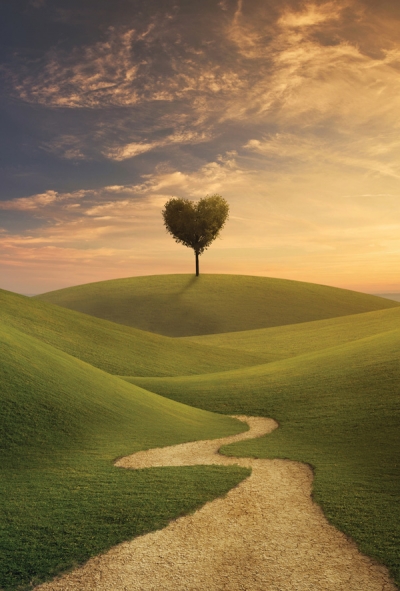 Green heart - surreal landscape