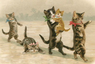 Cat family on the ice