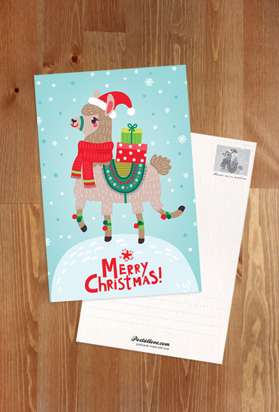 Christmas lama