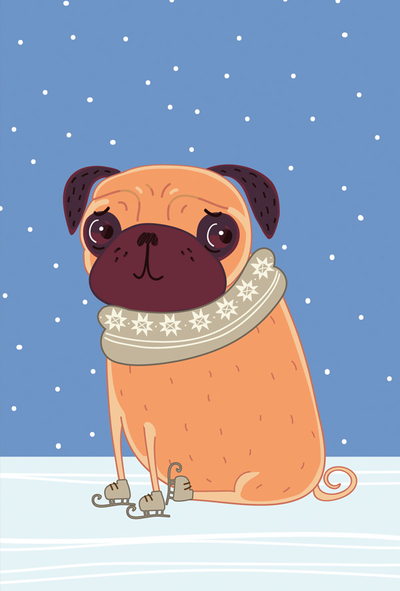 Winter mops