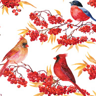 Birds on rowan
