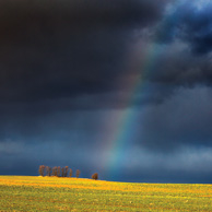 Light of hope